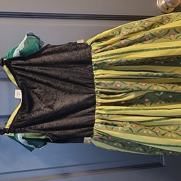 Disney Park Size Large 10/12. Princess Anna Coronation Costume - Picture 4 of 5